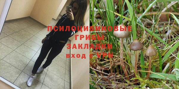крисы Бугульма