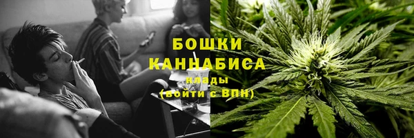 твердый Верхний Тагил